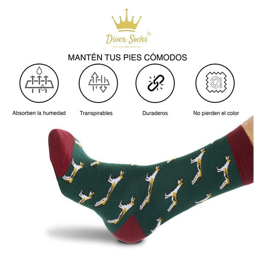 Calcetines podencos
