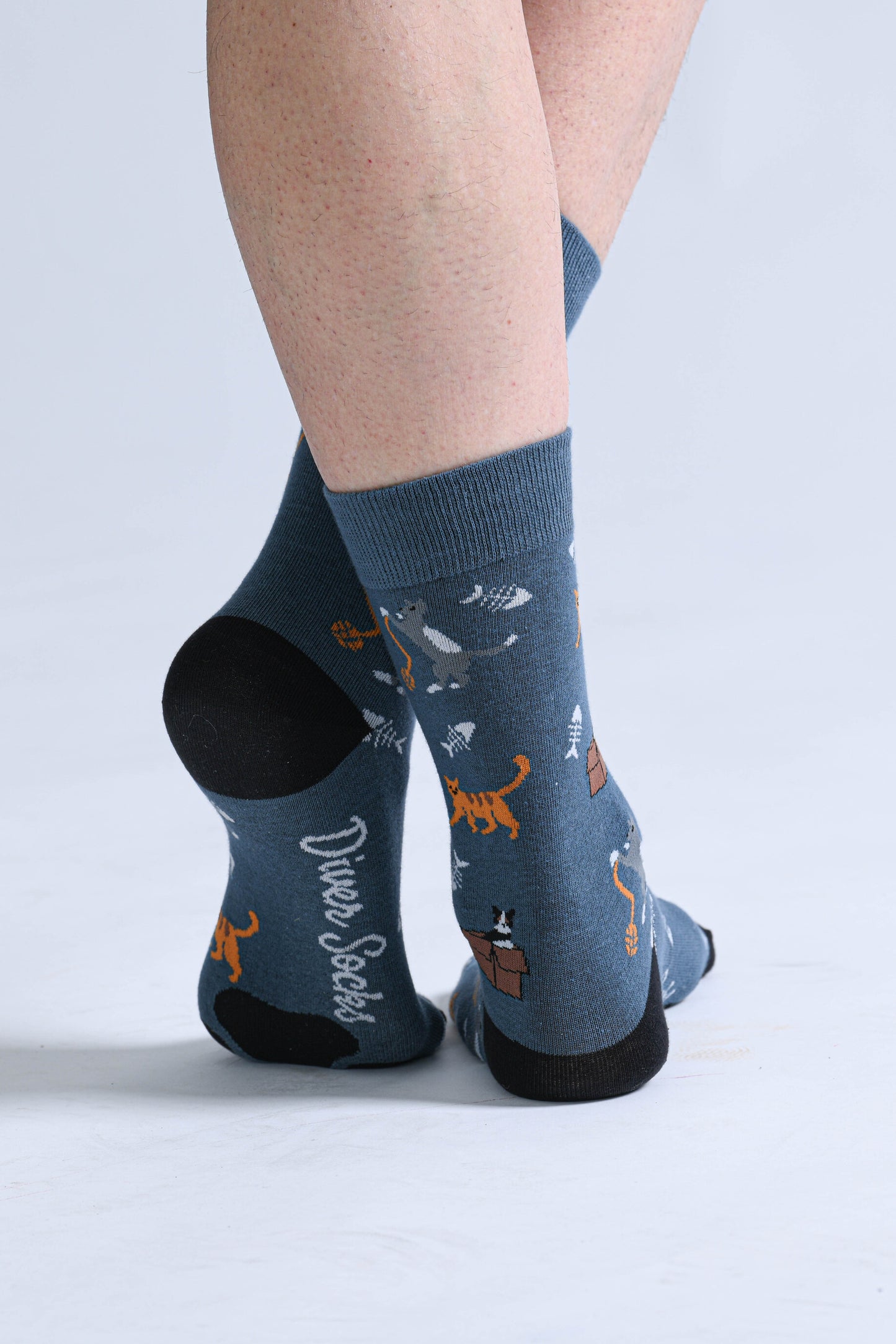 Calcetines Gatos Juguetones